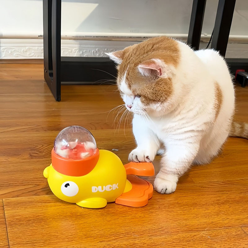 Dog Puzzle Feeder Toy - Distributeur interactif de friandises pour chat