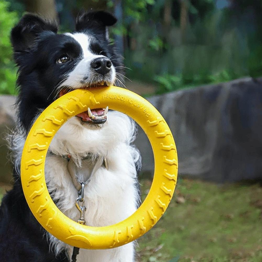 Suction Cup Dog Tug Toy - Anneau de dressage pour chien de