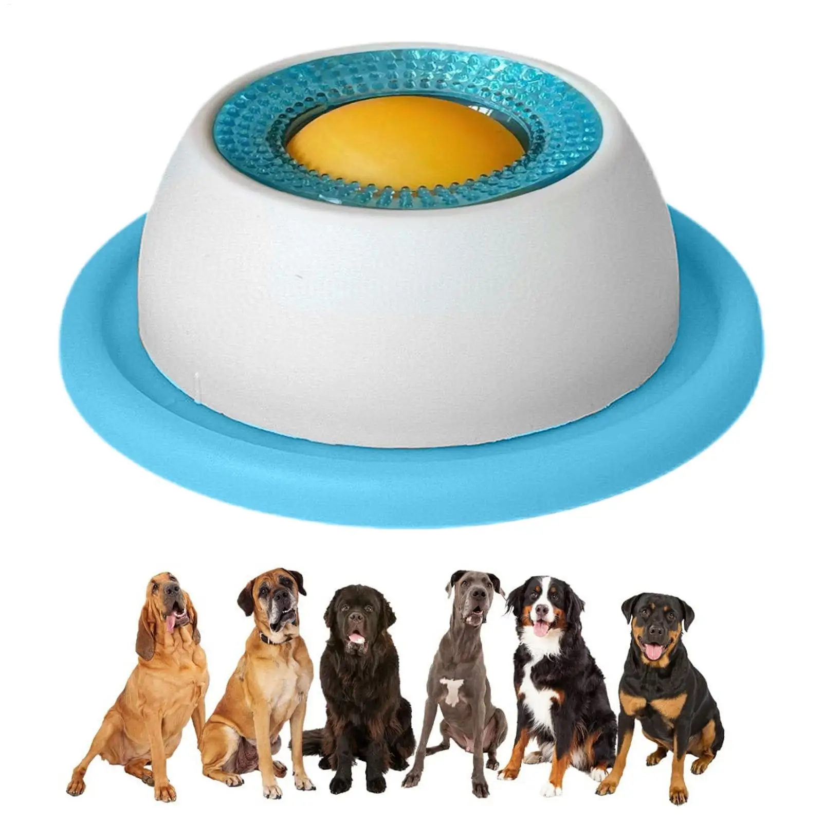 Dog Puzzle Feeder Toy - Accessoires pour l'alimentation des animaux de