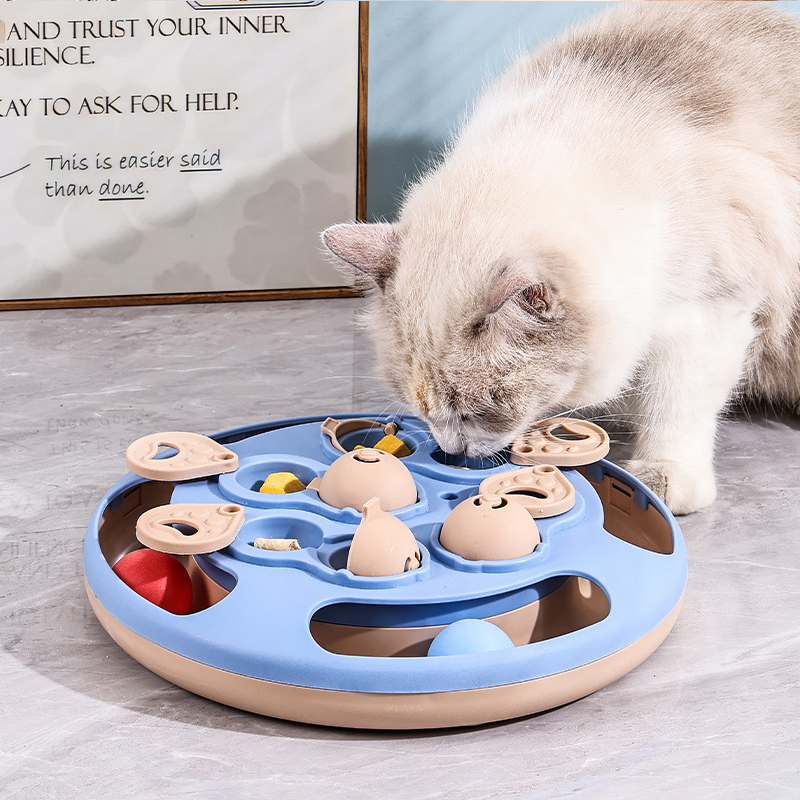 Dog Puzzle Feeder Toy - Jouet puzzle pour chien avec distributeur