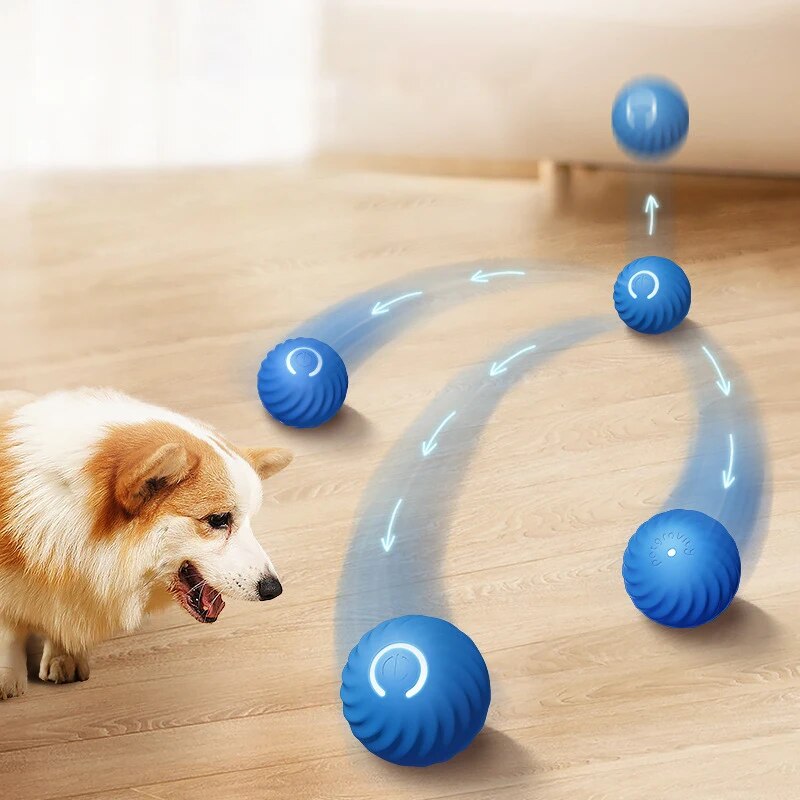 Suction Cup Dog Tug Toy - Boule roulante aste pour animaux de