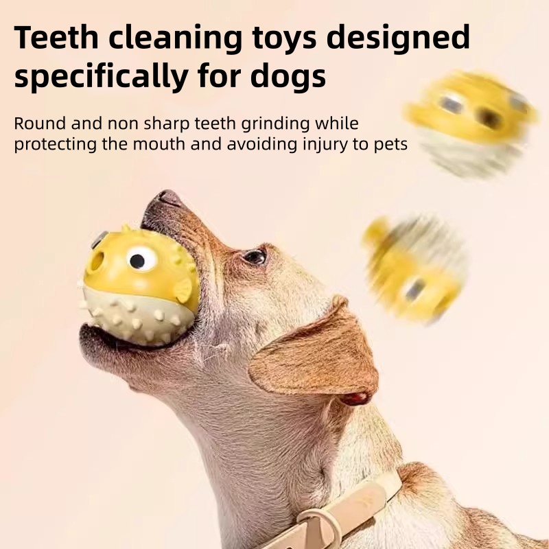 Jouet interactif pour chien, d - Dog Puzzle Feeder Toy avis et prix