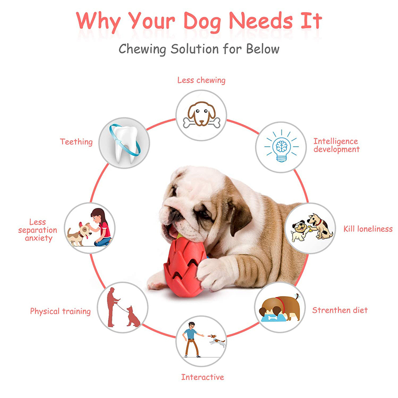 Benepaw-Jouets à mâcher pour c - Indestructible Dog Chew Toy avis et prix
