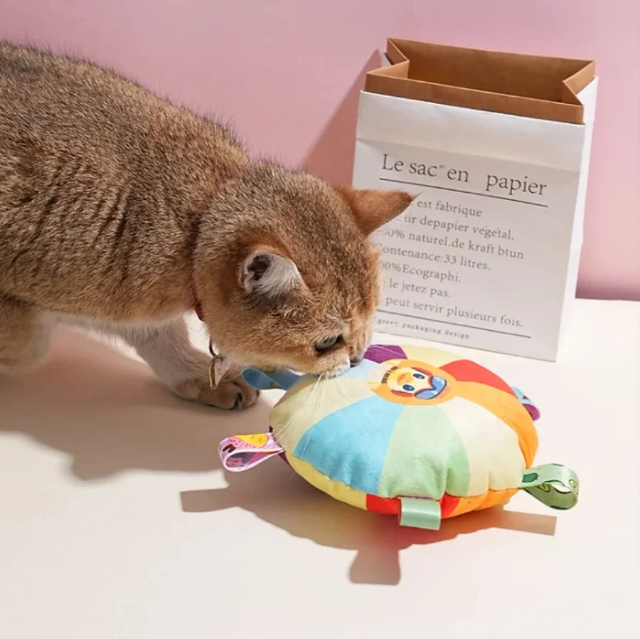 Le disque volant interactif en - Flying Disc Dog Training Toy avis et prix