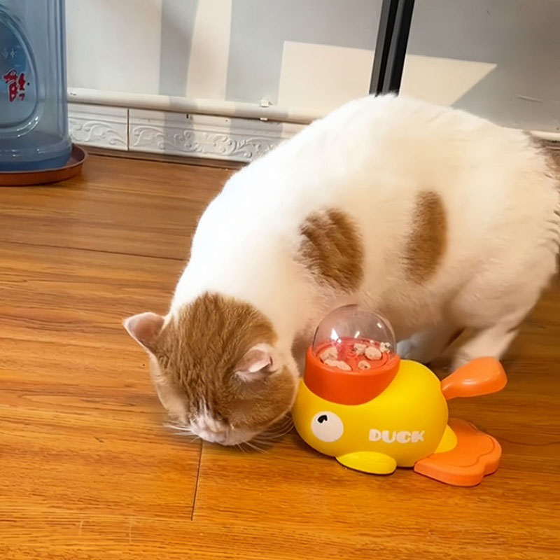 Distributeur interactif de fri - Dog Puzzle Feeder Toy avis et prix
