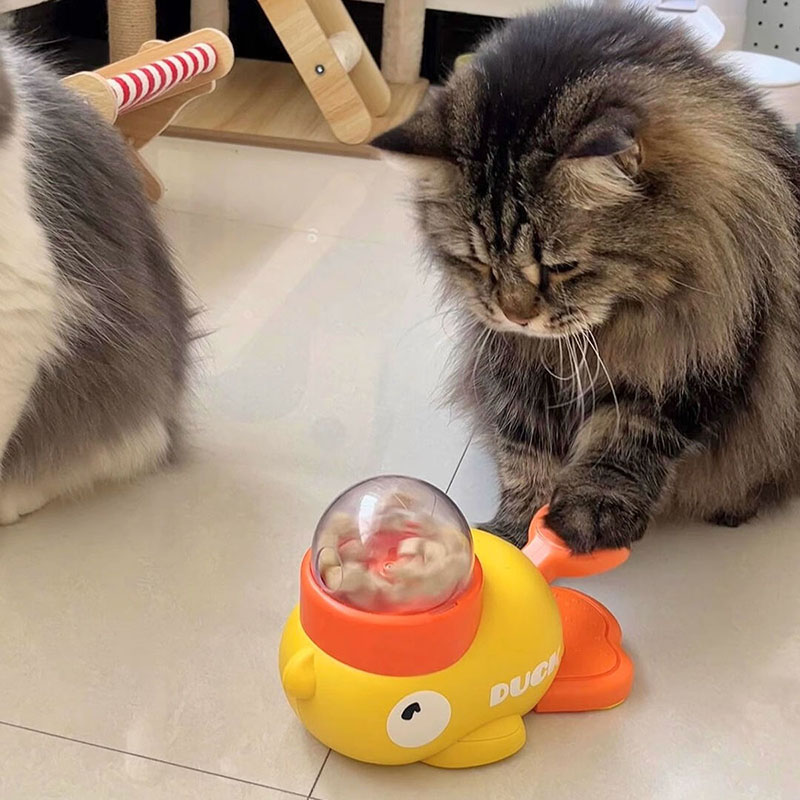 Distributeur interactif de fri - Dog Puzzle Feeder Toy avis et prix