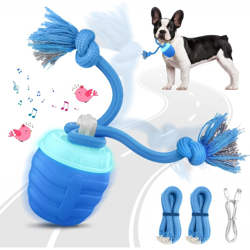 Jouet interactif automatique p - Automatic Moving Dog Ball avis et prix