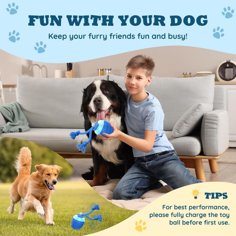 Jouet interactif automatique p - Automatic Moving Dog Ball avis et prix