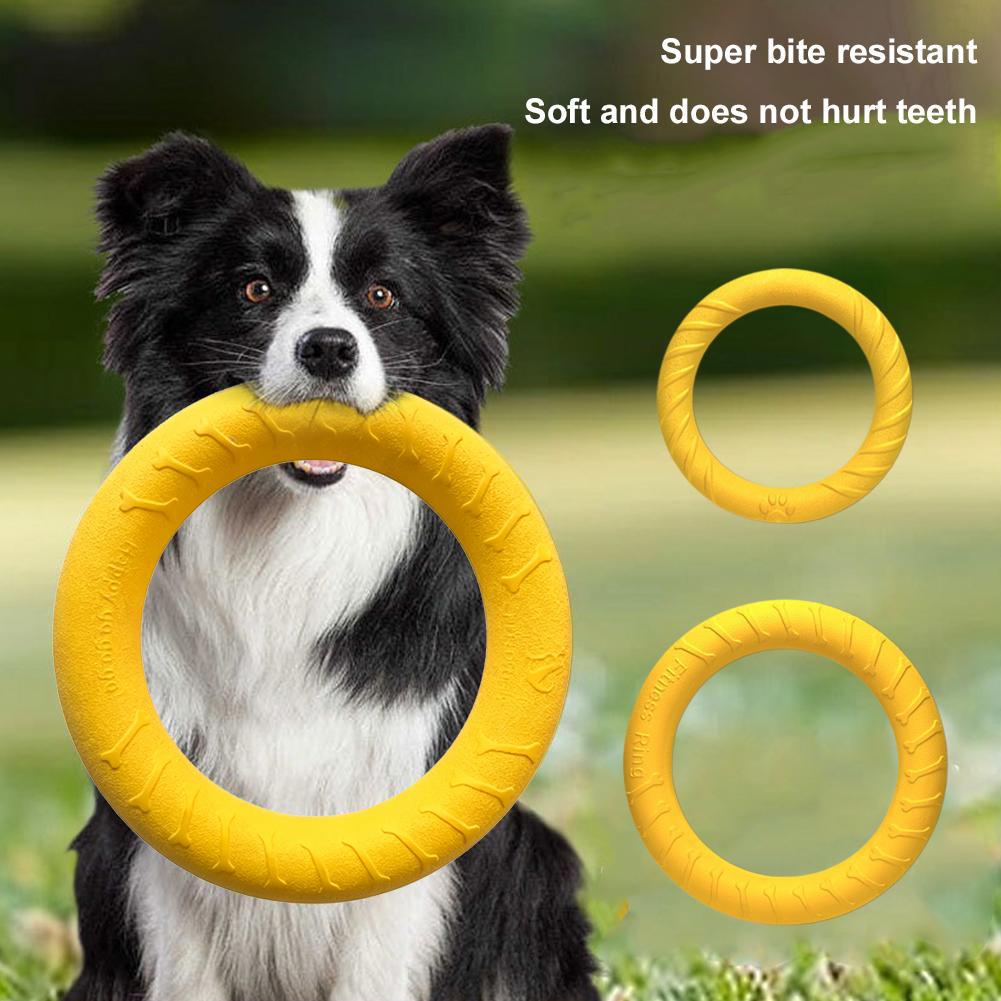Anneau de dressage pour chien  - Suction Cup Dog Tug Toy avis et prix