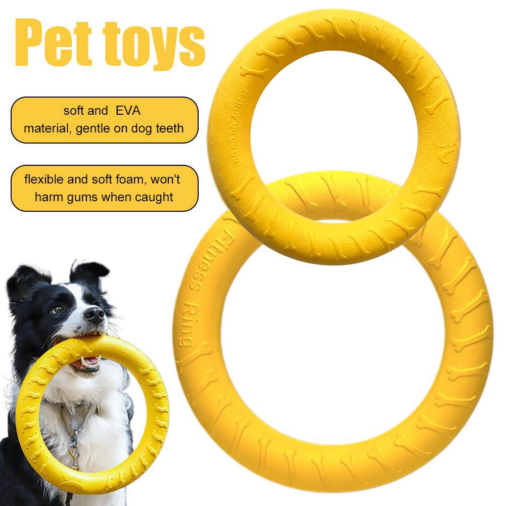 Anneau de dressage pour chien  - Suction Cup Dog Tug Toy avis et prix