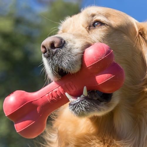 Os à mâcher classique et durab - Rubber Treat Dispensing Dog Toy avis et prix