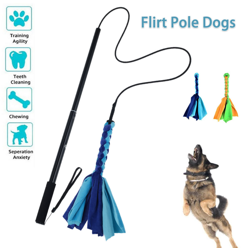 Canins flirt leurre pôle bâton - Interactive Squeaky Plush Dog Toy avis et prix