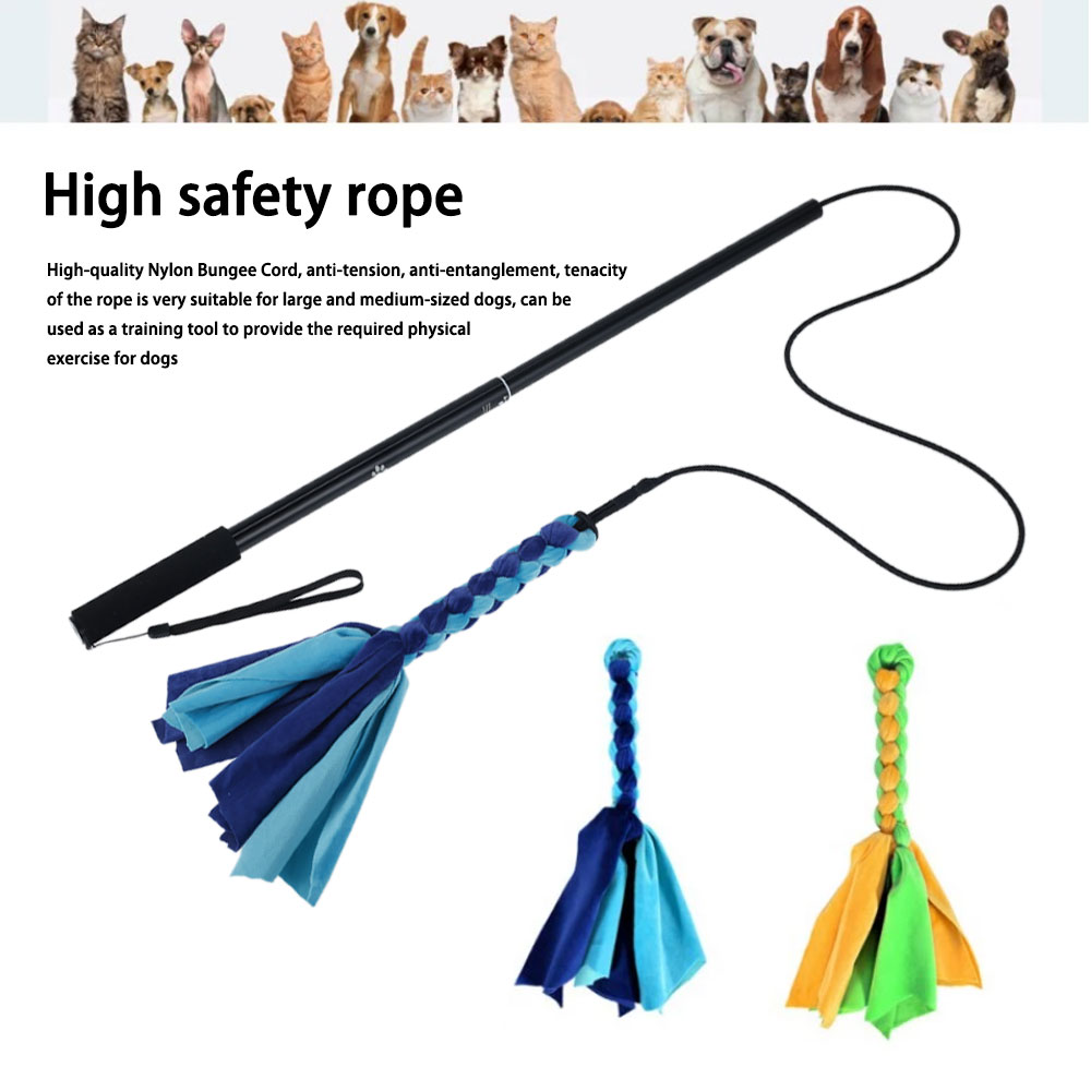 Canins flirt leurre pôle bâton - Interactive Squeaky Plush Dog Toy avis et prix