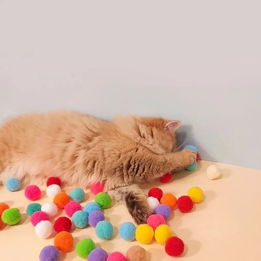 Pistolet jouet interactif pour - Laser Pointer Cat Toy Automatic avis et prix
