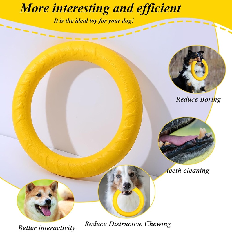 Jouets pour chiens, disques vo - Suction Cup Dog Tug Toy avis et prix