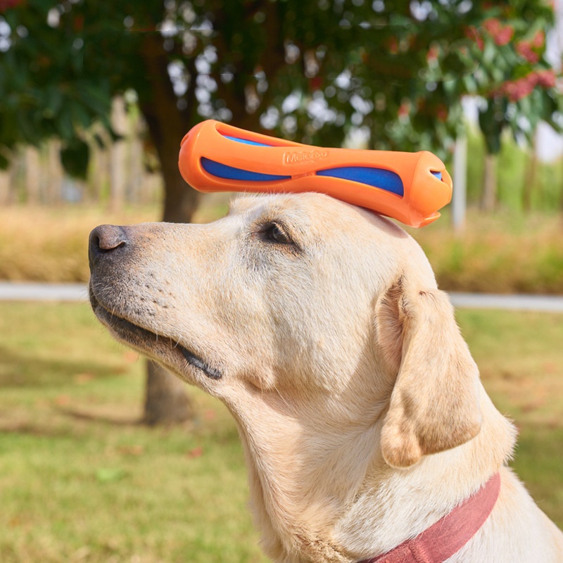 Bâton de jeu pour chiens, en T - Indestructible Dog Chew Toy avis et prix