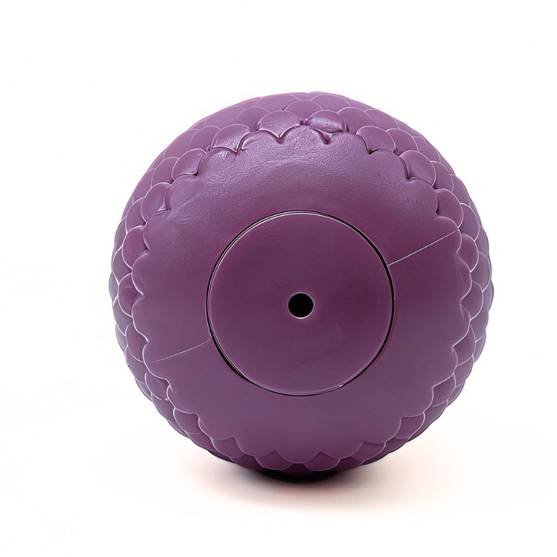 Jouet pour chiot en forme de p - Indestructible Dog Chew Toy avis et prix