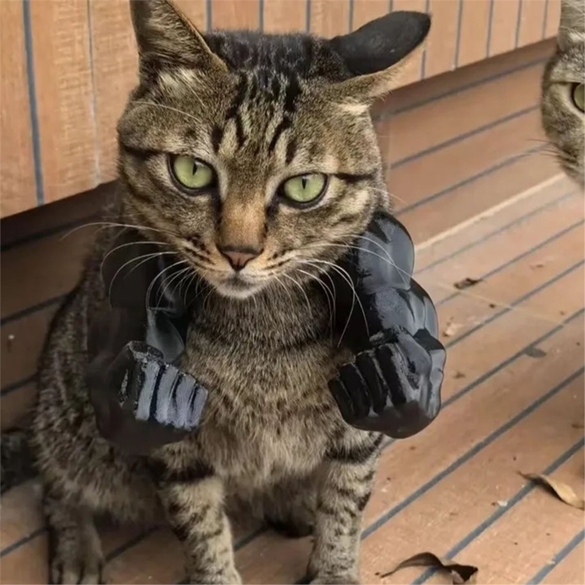 Nouveau pendentif bras musclé  - Cat Toys avis et prix
