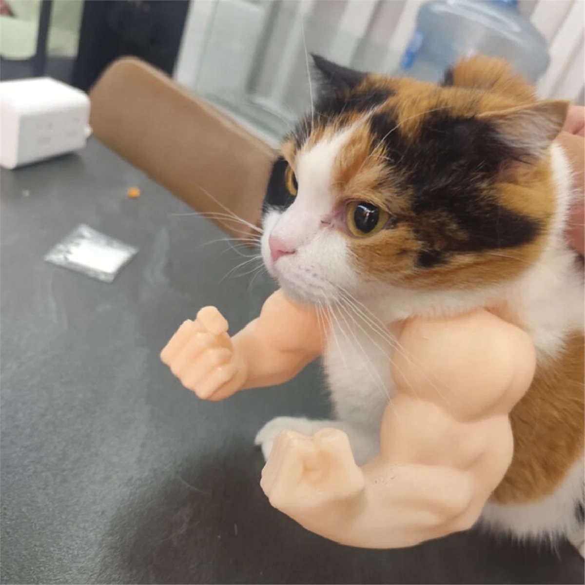Nouveau pendentif bras musclé  - Cat Toys avis et prix